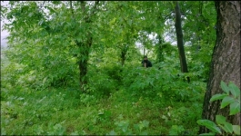 Saath Nibhana Sathiya - 28th September 2021